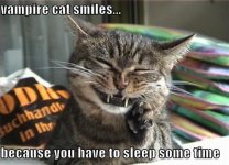 funny-pictures-happy-vampire-cat.jpg