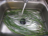 Long beans 2.JPG
