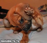 cute-puppy-pictures-invisible-yoyo.jpg