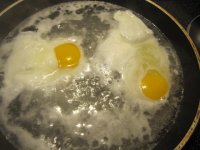 Egg comparison 1.JPG