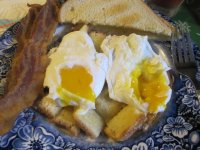 Egg comparison 2.JPG