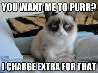 Grumpy Cat Purrs.jpg