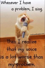 singing problem cat.jpg